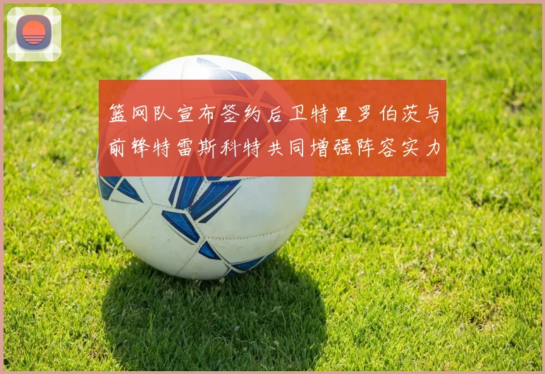 篮网队宣布签约后卫特里罗伯茨与前锋特雷斯科特共同增强阵容实力