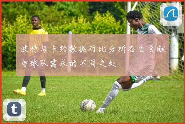 波特与卡约数据对比分析各自贡献与球队需求的不同之处